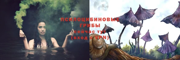 хмурый Новозыбков