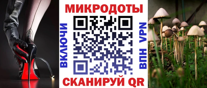 где продают наркотики  Камызяк  Псилоцибиновые грибы прущие грибы 
